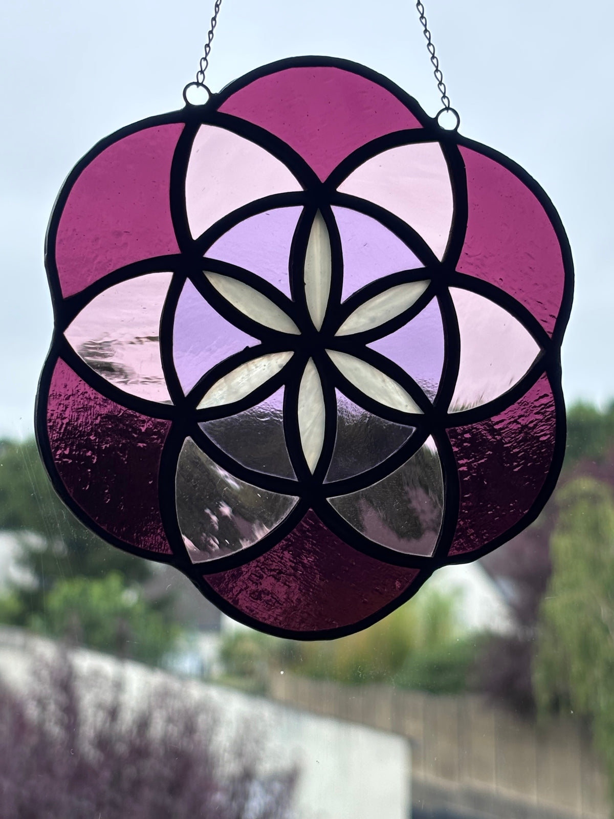 Rosace violette et rose