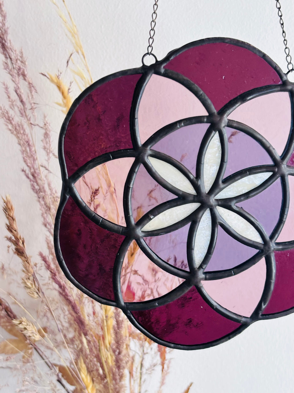 Rosace violette et rose